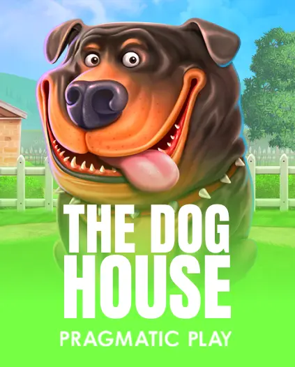 Casino game at Zoccer Casino